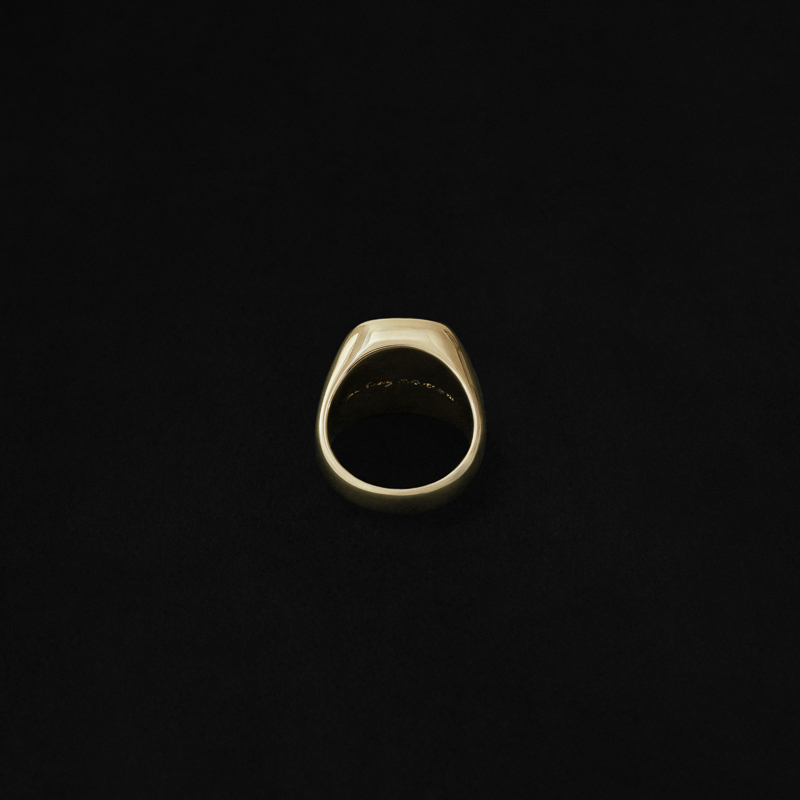 sar_251002_ring-L-back-fin