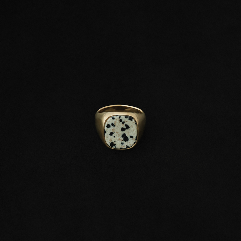 sar_251002_ring-L-dalmatian-fin